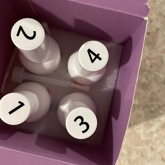 Beetles - Picture 2 of 2